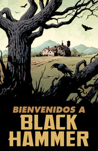 Black Hammer 1 Orígenes Secretos - imagen 4