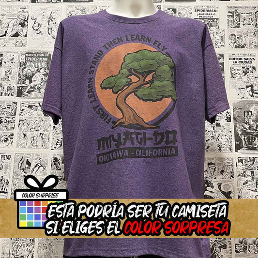Camiseta Miyagi-Do | Serie Cobra Kai | Infantil - Vista Frontal