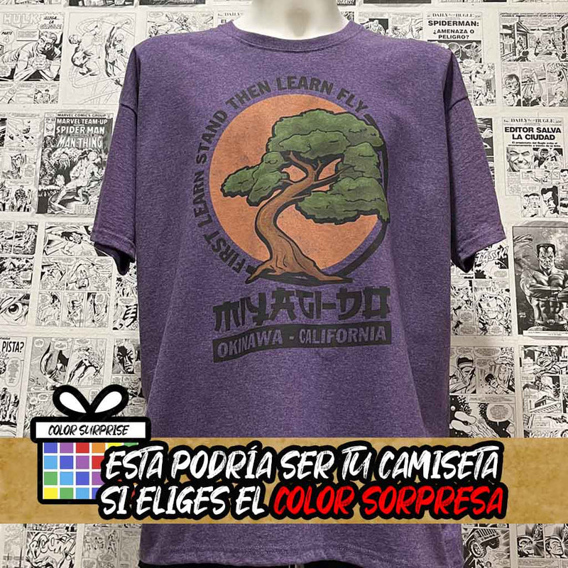 Camiseta Miyagi-Do | Serie Cobra Kai | Hombre