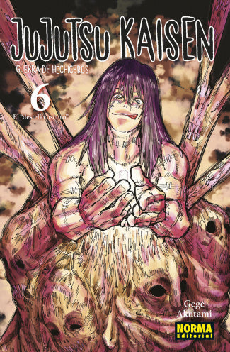 MNG-Jujutsu Kaisen 6