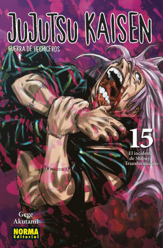 MNG-Jujutsu Kaisen 15